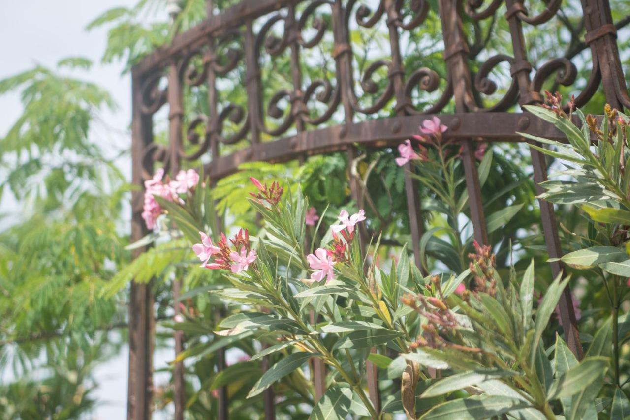 Vinauberge Poilhes Bagian luar foto